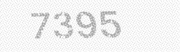 Visual security code — type the characters shown in the image